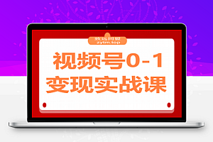 视频号0-1变现实战课:AI爆款脚本+四大变现,普通人30天月入5000+