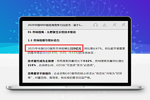 中美GEO大比拼:为什么国内GEO雷声大雨点小?