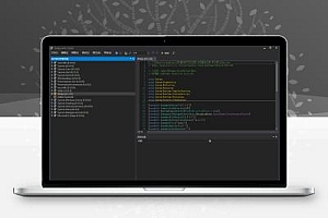 C#反编译工具 输入EXE可执行程序即可以看到源码