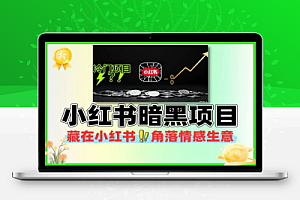 小红书暗黑小众冷门项目当天可能就会有收益