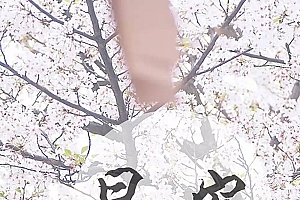 朋友圈早安心语图片正能量励志文字壁纸
